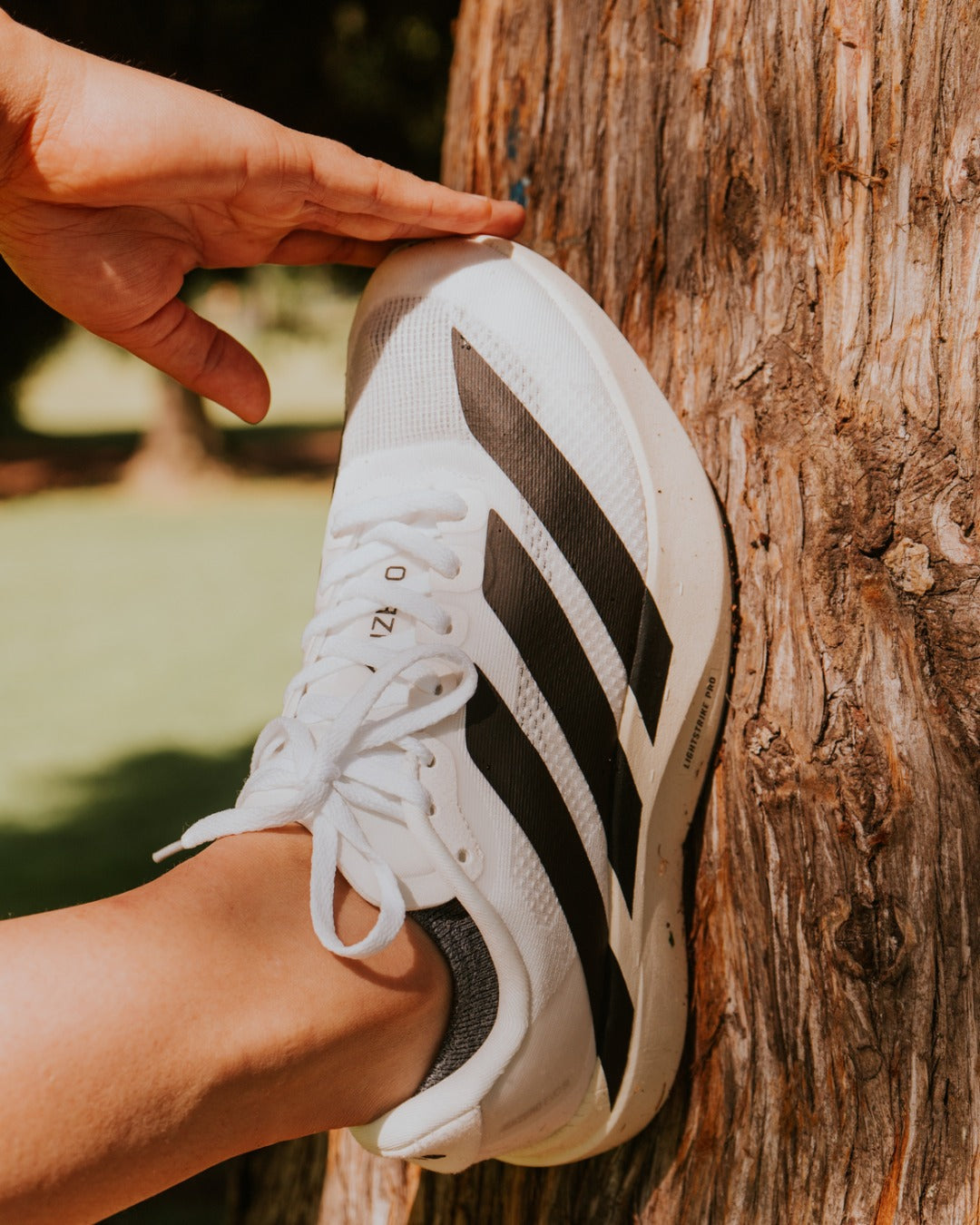 Adidas Adizero EVO SL Blanca-Negra