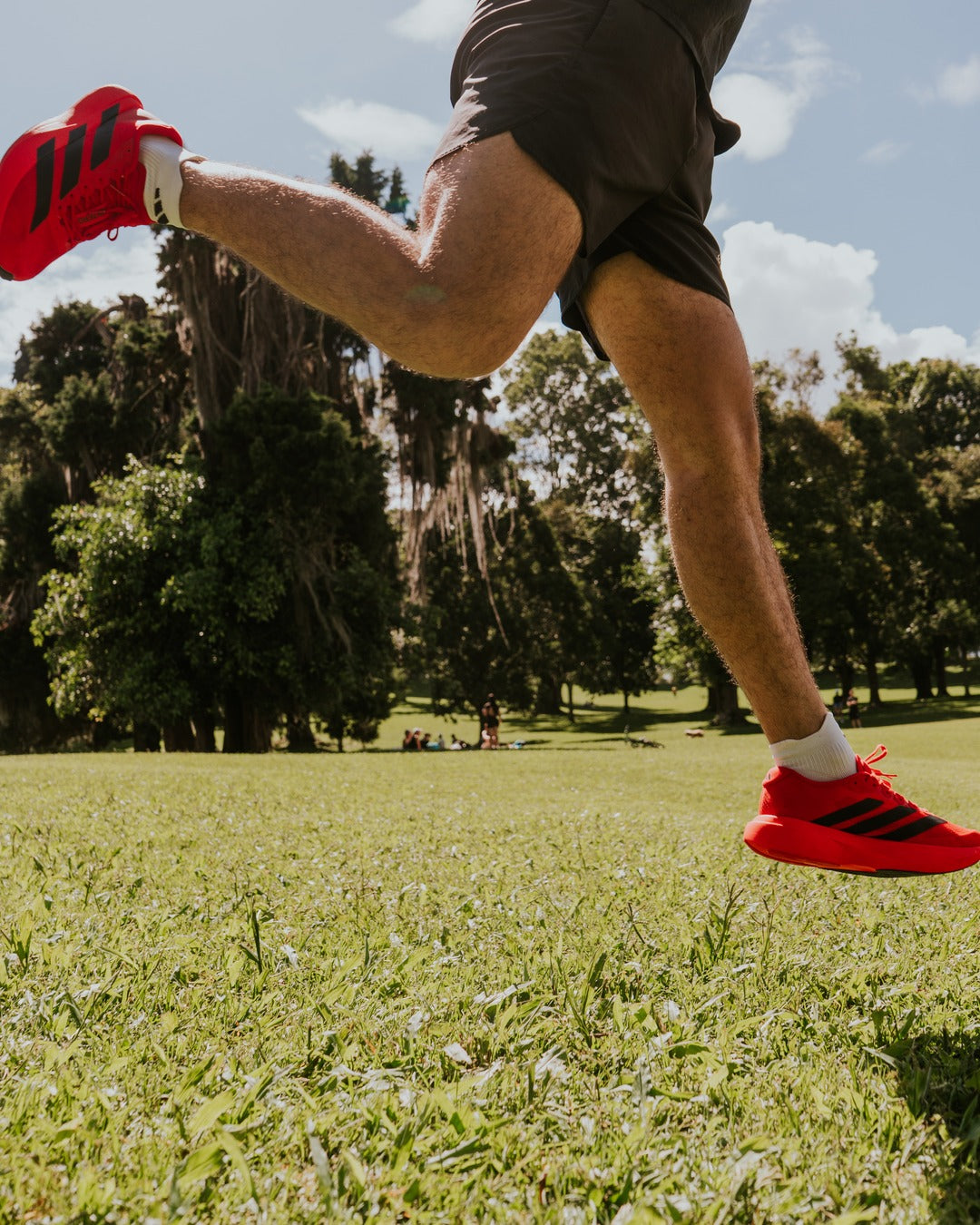 Adidas Adizero EVO SL Roja