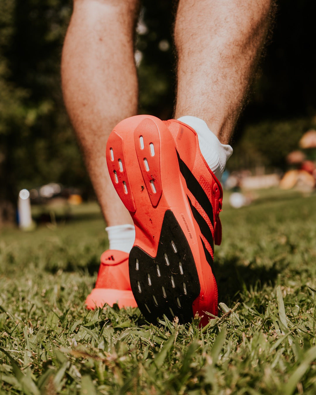 Adidas Adizero EVO SL Roja