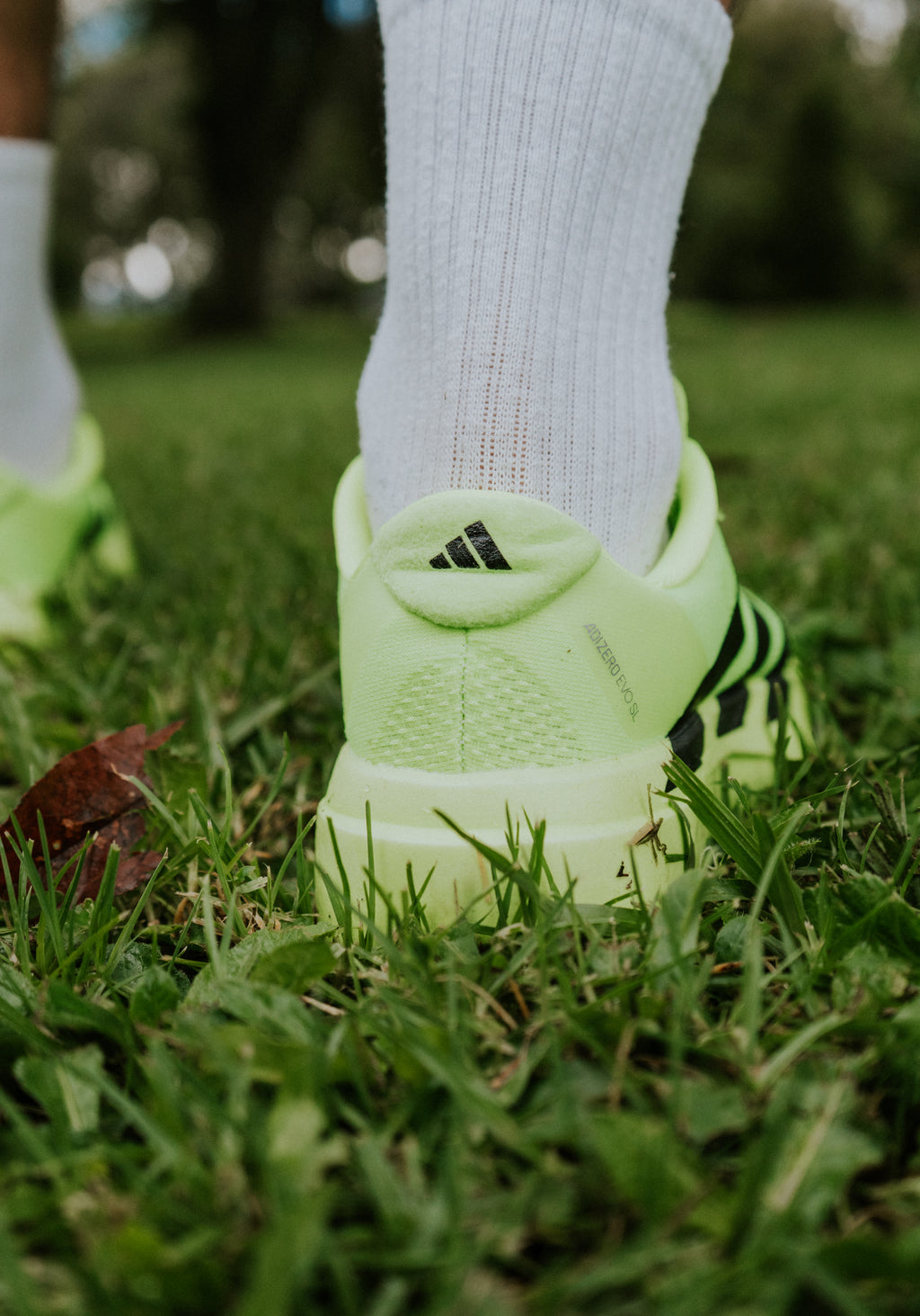Adidas Evo SL Verde