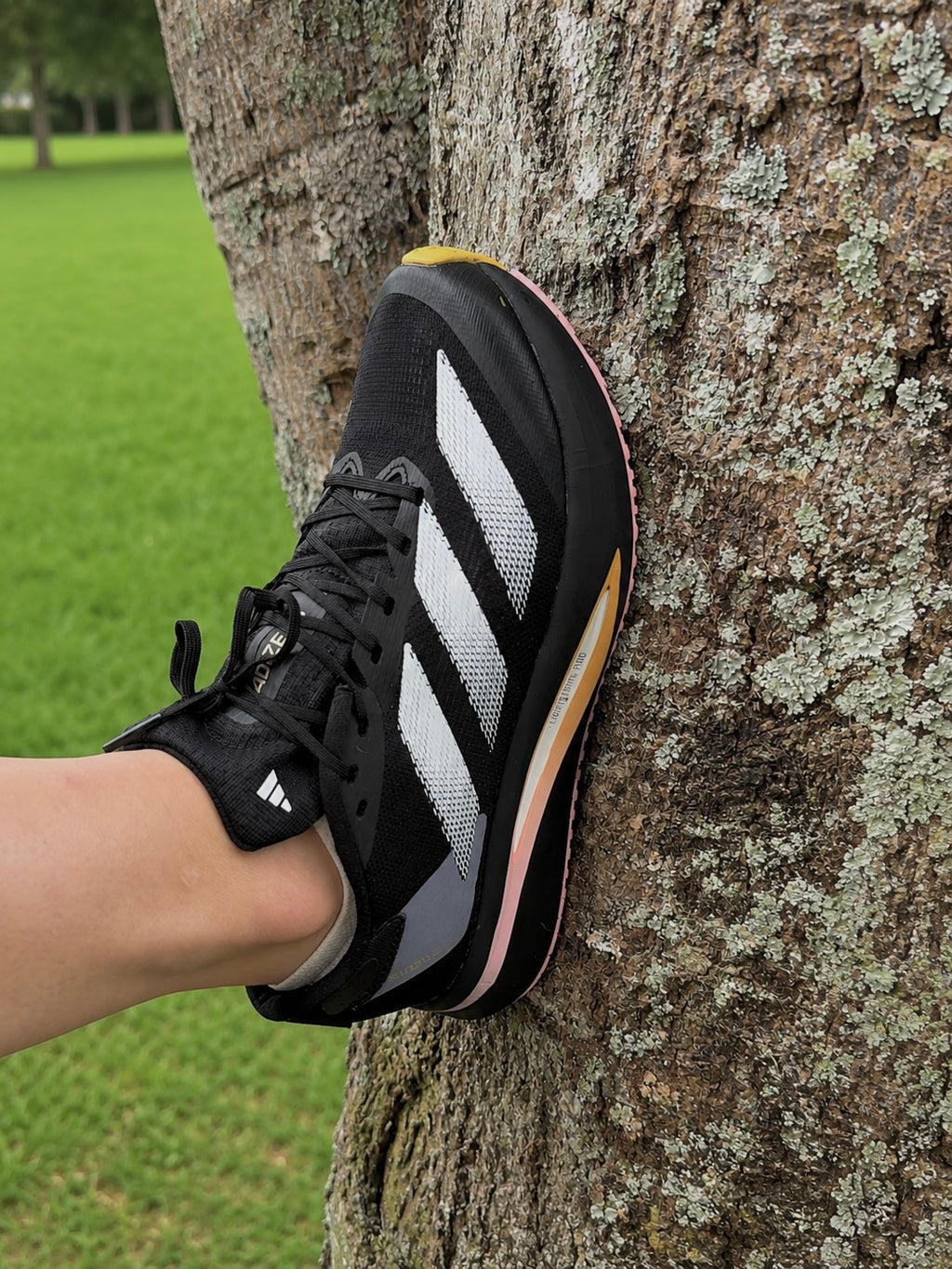 Adidas Adizero SL2