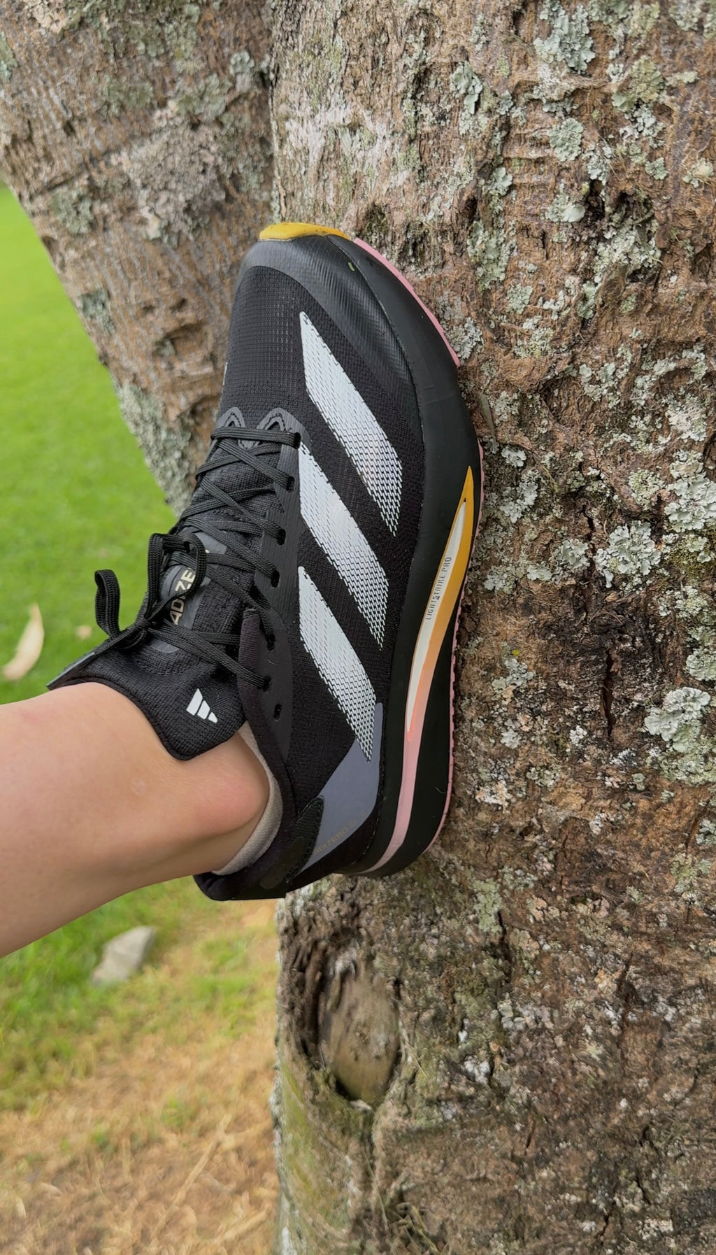 Adidas Adizero SL2