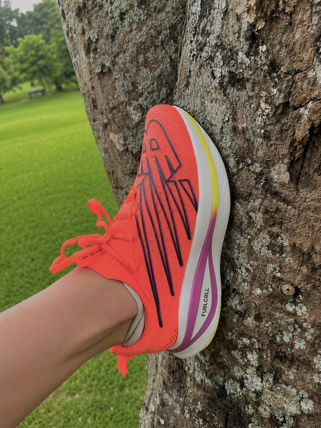 New Balance FuelCell SuperComp Elite v3