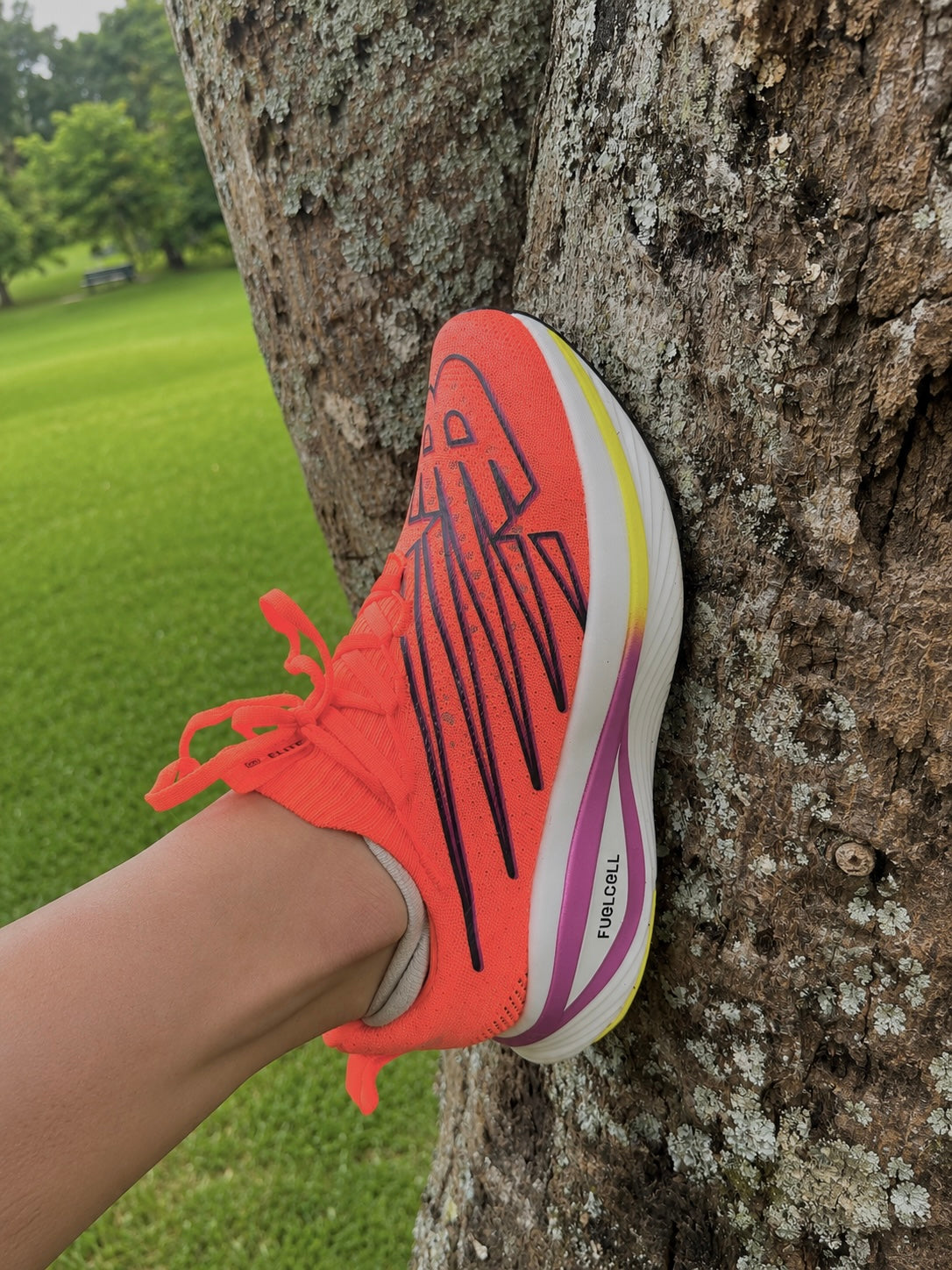 New Balance FuelCell SuperComp Elite v3